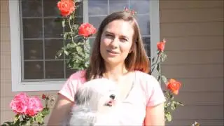 When to Spay or Neuter your Puppy