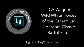 Inspiration Video - Using the Lightroom Radial Filter to Further Enhance a Photo
