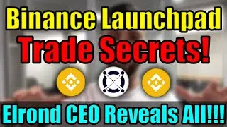 Elrond CEO REVEALS Binance Launchpad Trade Secrets! Can Binance Make Or Breaks An Altcoin Project?