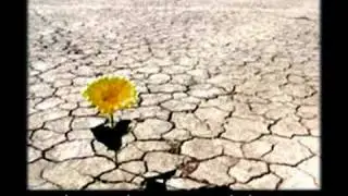 SONHO IMPOSSÍVEL - Maria Bethânia