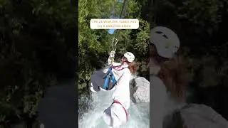 Incredible bucket-list zipline in New Zealand