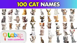 Learn 100 Cat Names in English | Amazing Pet Vocabulary for Kids | Kids English Study