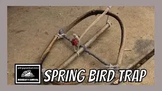 HOW TO MAKE A SPRING BIRD TRAP