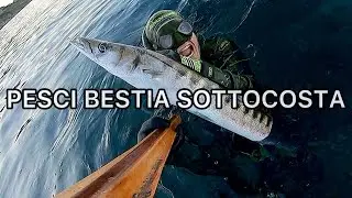 Pesca sub | MIGLIORI PREDE SOTTOCOSTA