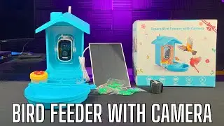 HomieFans Smart Bird Feeder with Camera | Watch birds wherever and whenever