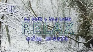 The best Relax music Dj CofE & VDJ Larik (video winter forest 4K)
