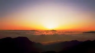 HARMONIC RUSH - Y&uuml;gen