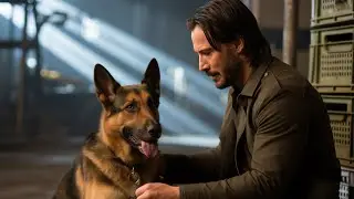Police Dog Fired for Being Too Playful&mdash;Now Works with Keanu Reeves on a Mysterious Job!...