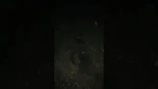 Ночной навигатор для леса #лайфхак #полезности #секреты