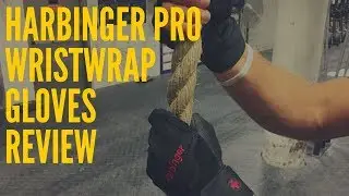 Harbinger Pro Wristwrap Gloves Review