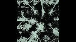 Axones - Continuum