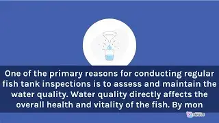 Fish Tank Inspections | Ensuring aquatic | Aiding early mitigation inspections | PawPrint Adventures