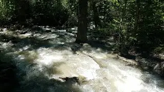FIVE SPRINGS 4K || BIGHORN NATIONAL FOREST