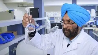 Making fruit and vegetables last longer | Curtin University