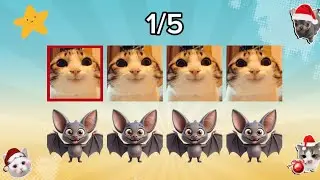 Say the word on beat (EASY) - The Cat, Bat, Hat Challenge Gets Harder Each Round!