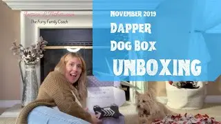 UNBOXING Dapper Dog Box November 2019 Dog Treats Dog Toys