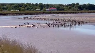 Tidal Bore Truro Nova Scotia 