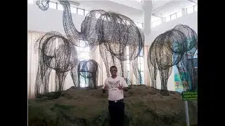 Regional Museum of Natural History, Siddhartha Nagar, Mysuru, Karnataka, India