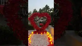 She said YES 💍❤️ The most romantic proposal setup in Miami! #Proposal