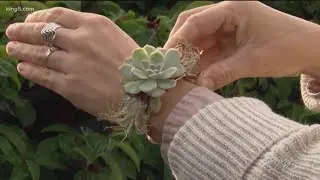 Living jewelry made in WA - KING 5 Evening