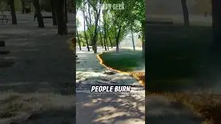 Cottonwood Fluff Burning