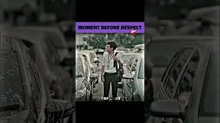 respect dogp