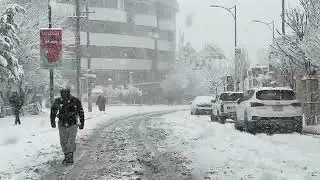 Slemani 2022