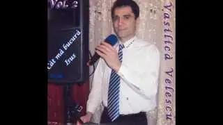 Vasilica Velescu Daca m as lupta