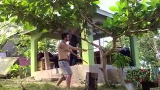 2012 Land of the Sky Wilderness School / Martial Arts - Year in review