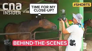 🙋🏻&zwj;♀️Me: Getting my vaccine. | 🐴Horses: Us too. #shorts