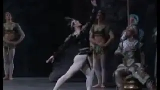 ROBERTO BOLLE ~ La Bayadere Solor Variation