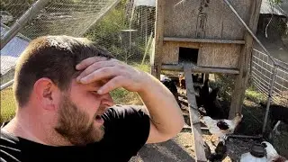 HOMESTEAD PROBLEMS , PLEASE HELP!!!