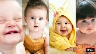 New  Pets video 2022ke in hindi /Pets King 2/
