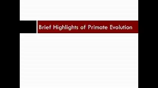 Anth101 Primate Evolution