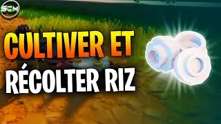 Comment Cultiver et R&eacute;colter du Riz Lego Fortnite, Astuce Emplacement pour Avoir et Trouver Ninjago