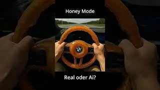BMW Honey Steering Wheel POV &mdash; Will It Stick?
