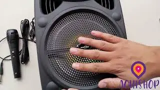 PARLANTE BIG SOUND 8