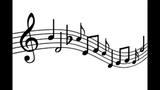 TRANSITORIO PRIMERAS NOTAS