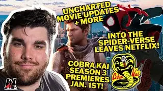 Streaming Wars and Sony Adaptations [The Daily Hero]