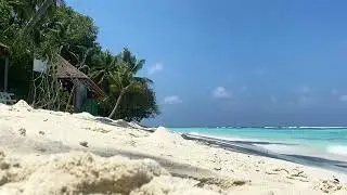 Relaxing Beach Video | OrangeHD | Free Stock Footage