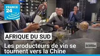Afrique du Sud : les producteurs de vin se tournent vers la Chine &bull; FRANCE 24