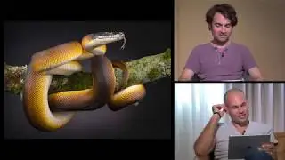 What's Wrong with These Seamless Background Shots? CTC E57