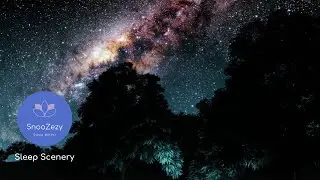 Ambient Night-time Forest Insect Sounds for Sleeping  - 4 Hours
