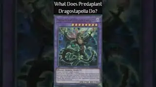 What Does Predaplant Dragostapelia Do? (Yugioh Cards Explained for Easy Deck Building)