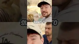 Lion's Life Saved! Incredible Zoo Rescue Missions!