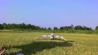 Blohm & Voss BV RC P212-02 without vertical stabilizer flat spin crashed