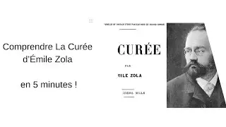 Comprendre La Cur&eacute;e d&rsquo;&Eacute;mile Zola en 5 minutes ! / R&eacute;ussir le Bac Fran&ccedil;ais