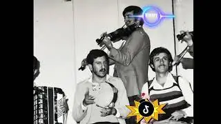 حسن زیرەک