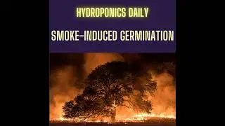 Karrikins and Seed Germination