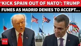 &laquo;Выгнать Испанию из НАТО&raquo;: Трамп угрожает исключением и пошлинами после отказа Мадрида &laquo;покориться&raquo;